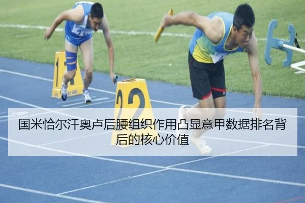 国米恰尔汗奥卢后腰组织作用凸显意甲数据排名背后的核心价值